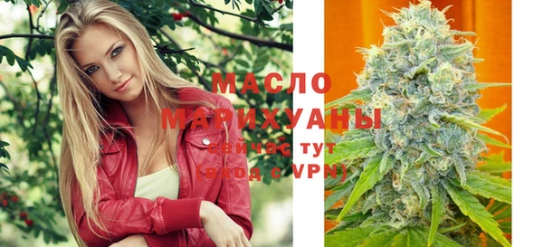 молекула духа Лабытнанги