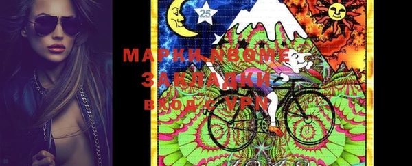 молекула духа Лабытнанги