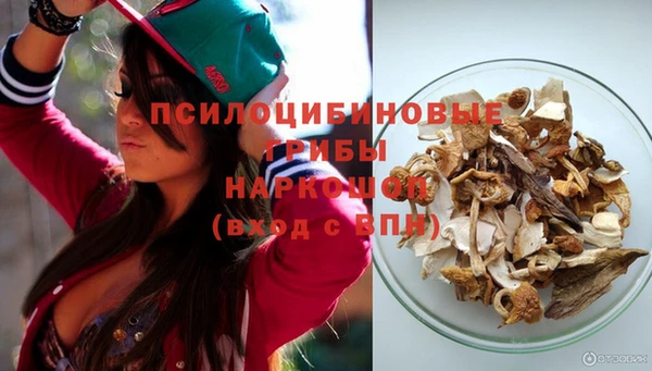 крисы Ладушкин