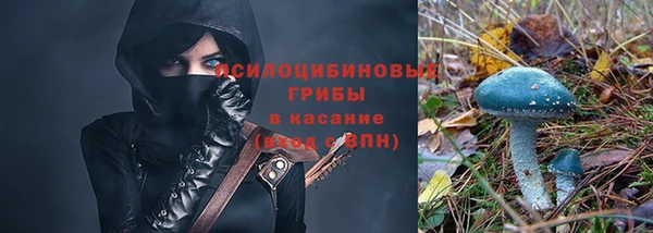 крисы Ладушкин