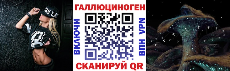 площадка какой сайт  Усть-Джегута  Псилоцибиновые грибы Cubensis 
