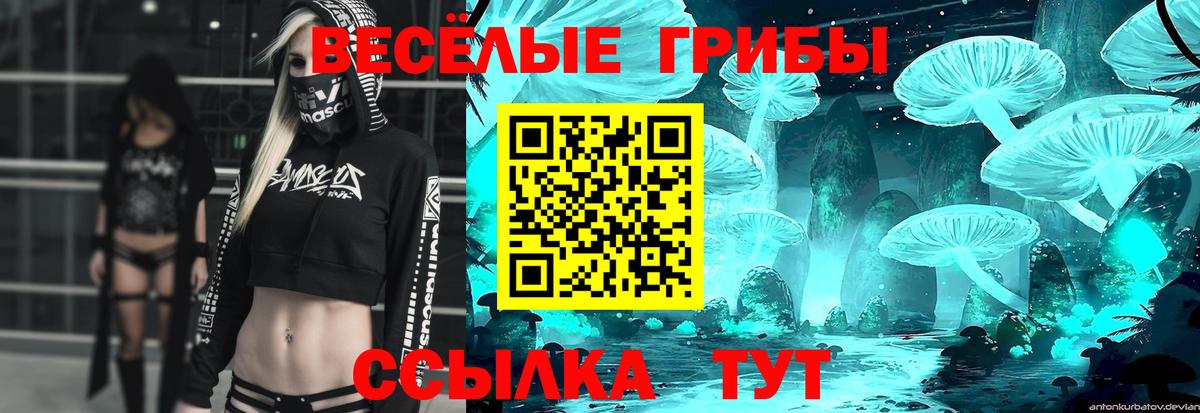 Галлюциногенные грибы прущие грибы Усть-Джегута
