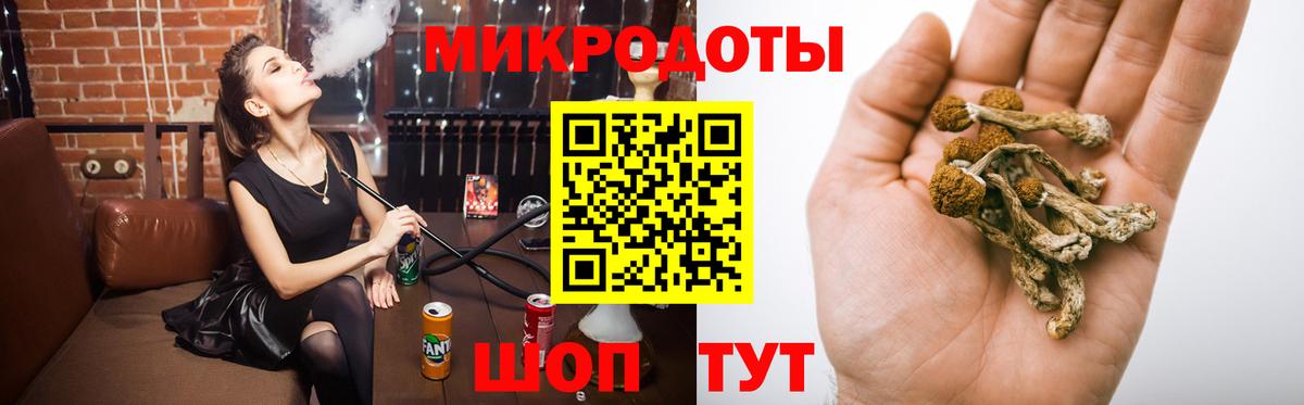 Усть-Джегута  Псилоцибиновые грибы мицелий  Псилоцибиновые грибы Psilocybe  Вход с VPN 