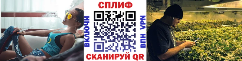 мега ссылки Усть-Джегута Каннабис конопля сколько стоит